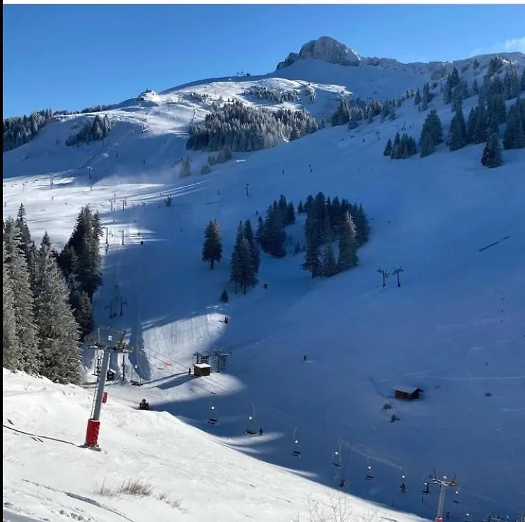 Igloo Ski In Ski Out Thollon-les-Memises